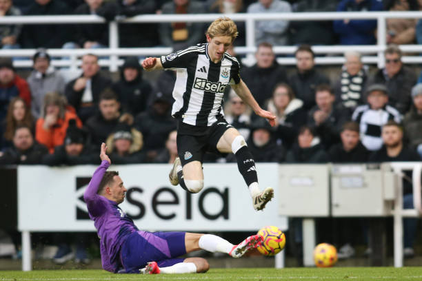 的技艺在各 的技艺在各